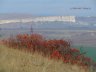 white rock6.JPG - 